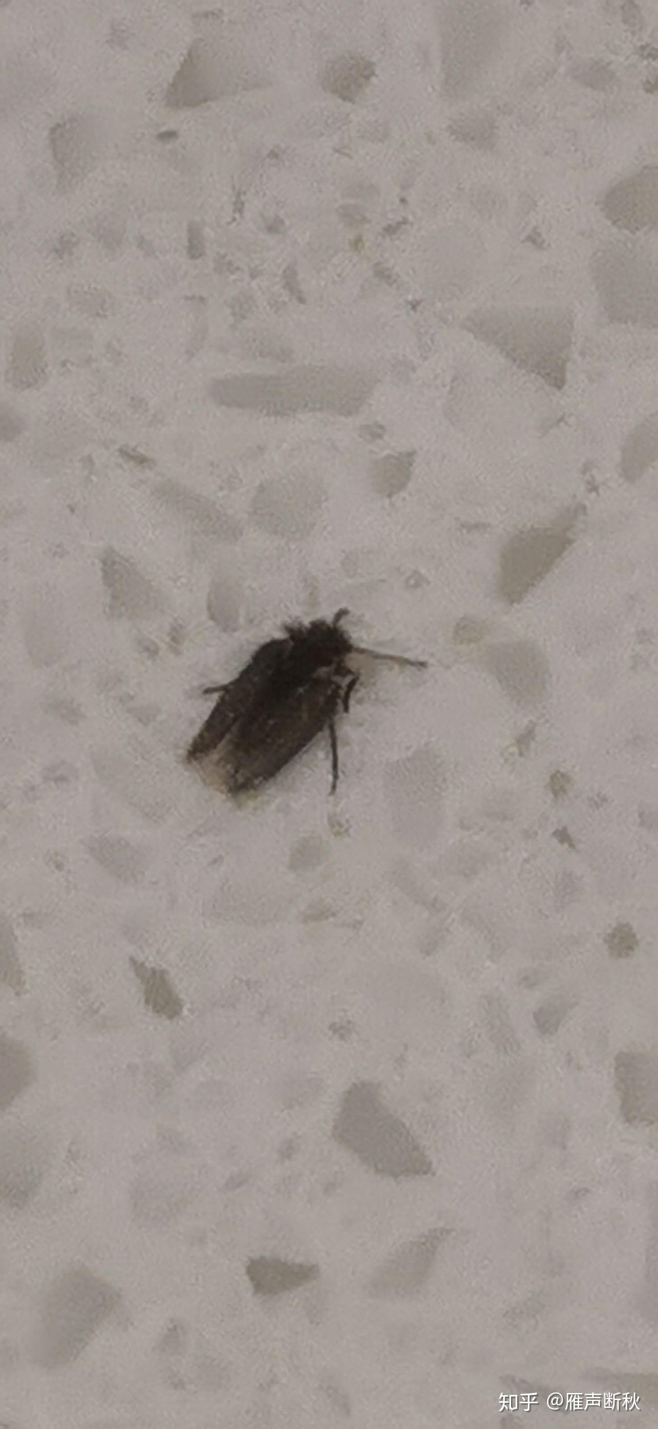 娱乐生活 第57页