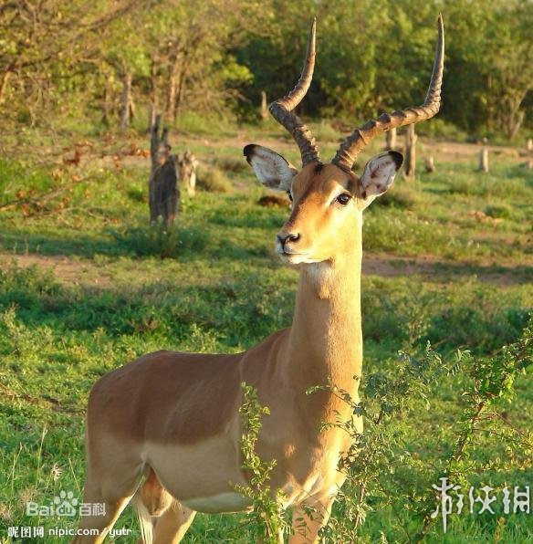 热点生活 第14页